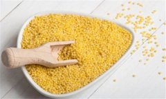 粟米是什么米？粟米的功效與作用及食用方法