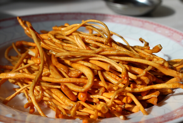 蟲(chóng)草菇怎么吃