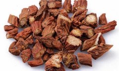 丹參的性能、主治、臨床應(yīng)用及用藥注意事項(xiàng)