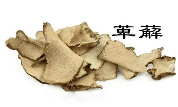 萆薢的用法，用量與禁忌