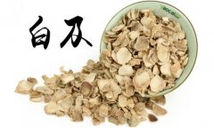 白及的產(chǎn)地是哪里？白及的用法、用量與禁忌