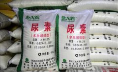 氮肥利用率大約是多少，氮肥是尿素肥嗎？
