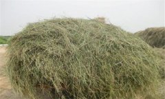 優(yōu)質(zhì)青干草應具備哪些條件，如何評定其質(zhì)量