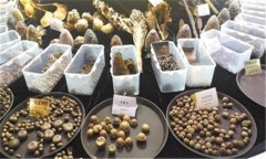 怎樣安全貯存蔬菜種子？蔬菜種子知識(shí)