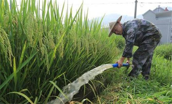 科學(xué)管水、防止早衰
