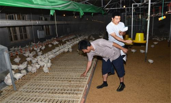 無污染、零排放