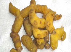 黃精的產(chǎn)地有哪些？