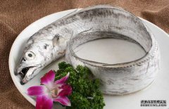 帶魚(yú)的產(chǎn)地、分布生活習(xí)性與品種分類(lèi)