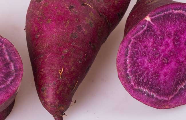 紫薯是轉(zhuǎn)基因食品嗎？