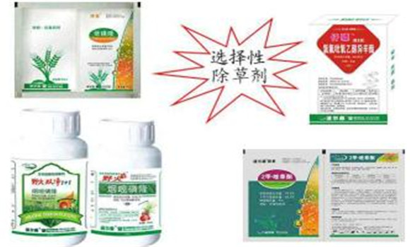 按除草劑在植物體內(nèi)的輸導(dǎo)性能分類(lèi)