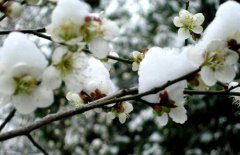 小寒節(jié)氣是什么意思？小寒節(jié)氣的氣候特征