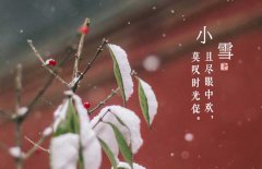 小雪節(jié)氣是什么意思，小雪節(jié)氣吃什么食品？