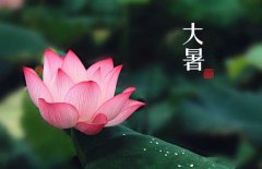 大暑是幾月幾日，大暑的節(jié)日民俗的哪些？