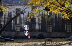寒露是什么意思，寒露的氣候特征有哪些？