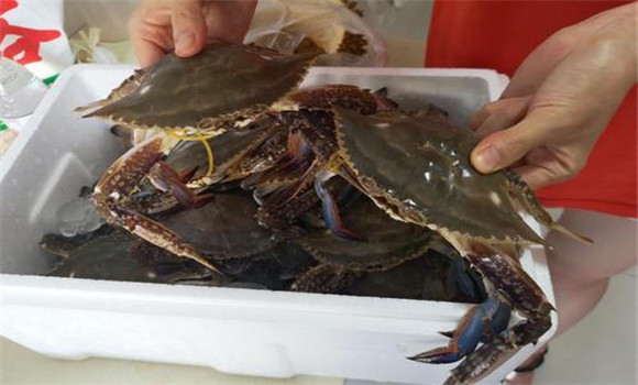 螃蟹屬于海鮮嗎？