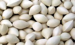 白果的功效與作用及食用方法、禁忌
