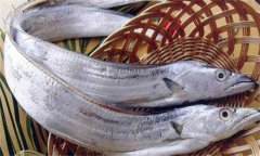 帶魚發(fā)黃能吃嗎？帶魚表面發(fā)黃的原因是什么