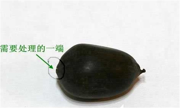 碗蓮的種植方法帶圖，碗蓮的種植方法與技術詳
