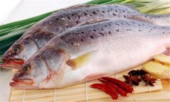 鱸魚是海魚還是淡水魚，海鱸魚和河鱸魚的區(qū)別