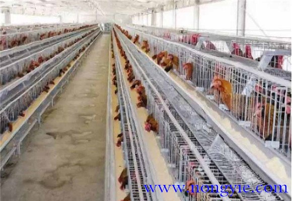 保溫、防暑和通風(fēng)性能好