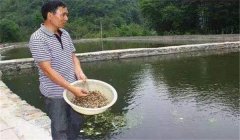 魚塘如何施肥？魚塘施肥技術(shù)的三個要點