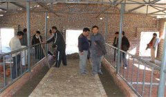 奶牛場設(shè)施設(shè)備有哪些，是如何分類的？