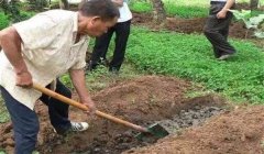 有機(jī)肥料的種類、特點(diǎn)與作用