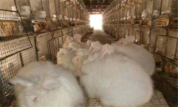 飼料要搭配、交換