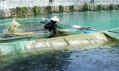 魚赤皮病的治療方法、是什么引起、有什么癥狀