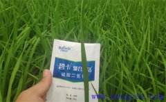 沖施肥哪個(gè)品牌好？沖施肥和水溶肥的區(qū)別
