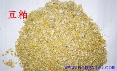 怎樣用豆粕喂牛，豆粕和豆餅喂牛效果一樣嗎？