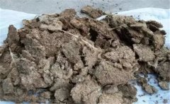 雞糞如何發(fā)酵成有機(jī)肥，用什么發(fā)酵菌好？