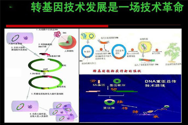 轉(zhuǎn)基因技術的原理是什么