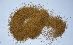泥鰍的飼料以什么為主？養(yǎng)殖泥鰍的飼料建議配