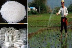 我國(guó)氮肥利用率大致是多少，如何提高氮肥利用