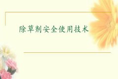 除草劑安全使用要點(diǎn) 發(fā)生除草劑藥害如何補(bǔ)救？