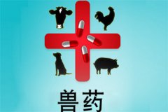 獸藥屬于藥品嗎？獸藥與人用藥的區(qū)別是什么？
