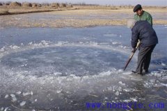 越冬魚池的水體環(huán)境是怎樣的？