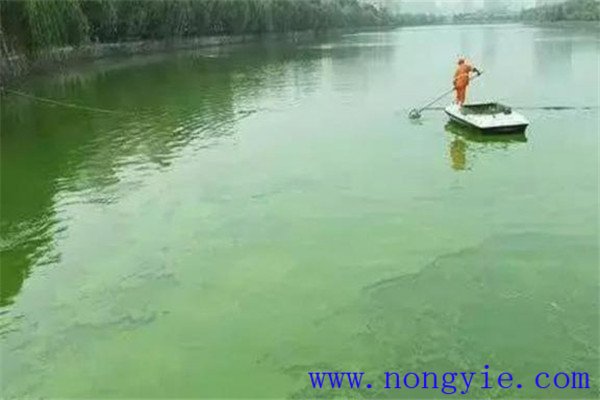 調(diào)，即調(diào)節(jié)水質(zhì)