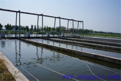 現(xiàn)代池塘養(yǎng)魚的生產(chǎn)與經(jīng)營特點(diǎn)是什么？