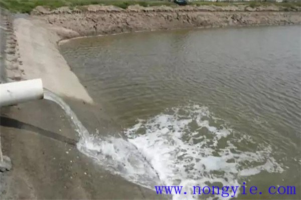 定期沖換水，保讓魚塘水質(zhì)