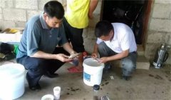 魚病治療中的發(fā)現(xiàn)、送診、用藥問題