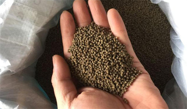 如何選擇甲魚(yú)專用飼料