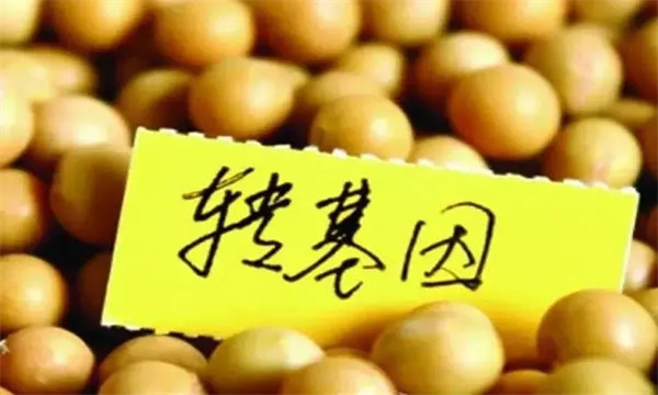 我國標識的農(nóng)業(yè)轉(zhuǎn)基因產(chǎn)品有哪些
