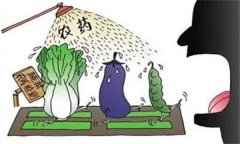 農(nóng)藥“安全、經(jīng)濟(jì)、有效”的使用原則