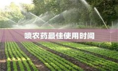 農(nóng)藥用藥時(shí)間問(wèn)題：適時(shí)用藥是關(guān)鍵！