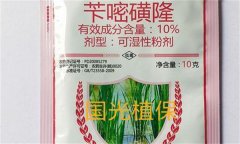 芐嘧磺隆的作用機(jī)制、使用方法與注意事項(xiàng)