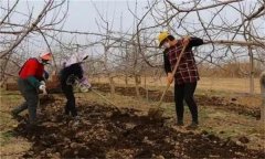合理施肥的基本原理是什么？