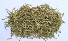 如何科學(xué)飲用金銀花茶？需注意哪些事項(xiàng)？