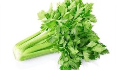 芹菜有何營養(yǎng)價值，多吃芹菜有哪些好處？